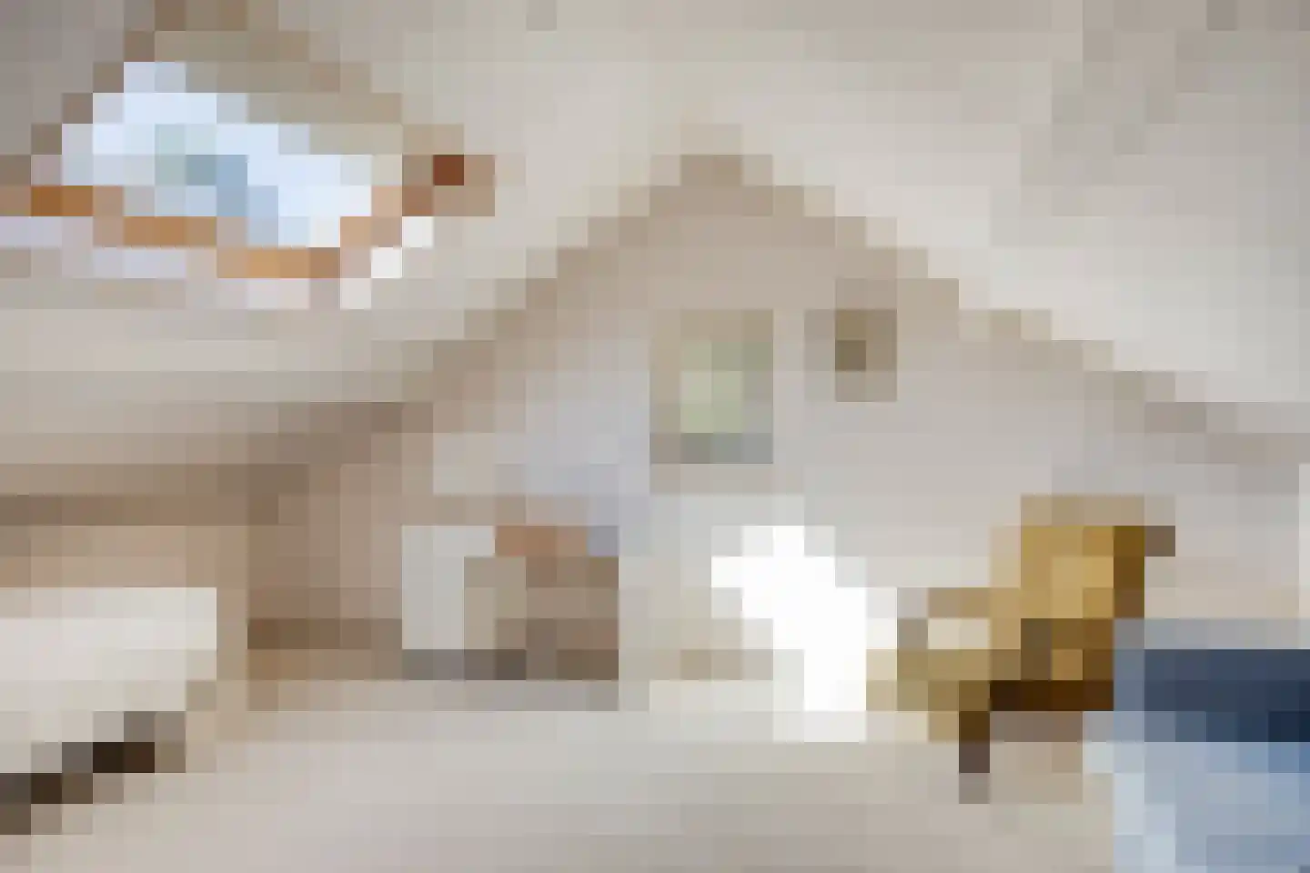 Bosweg 122 Apeldoorn thumbnail 36