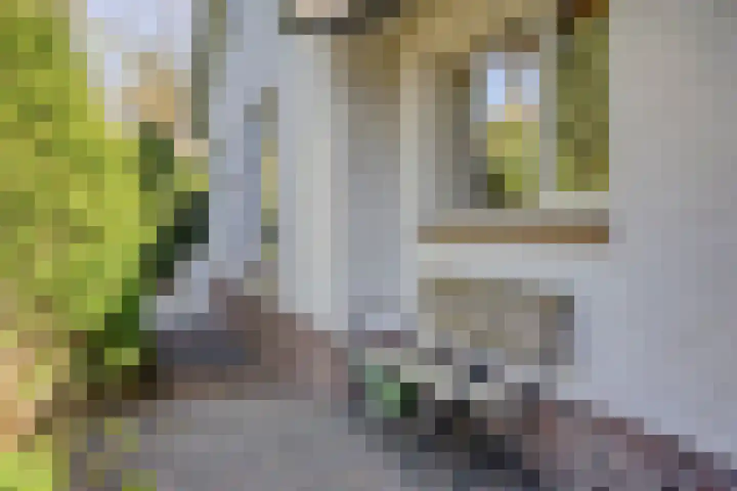 Bosweg 122 Apeldoorn thumbnail 39