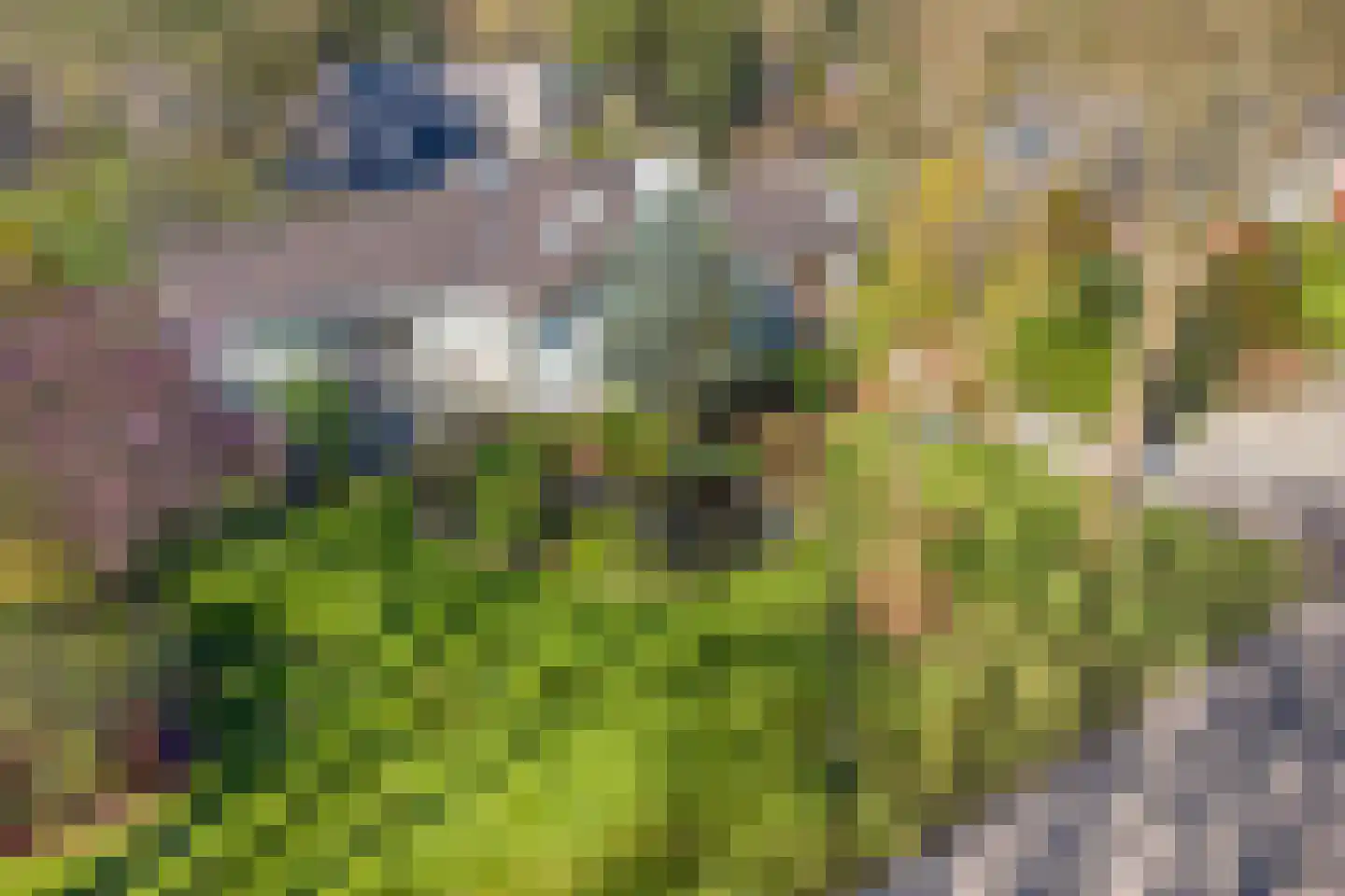 Bosweg 122 Apeldoorn thumbnail 4
