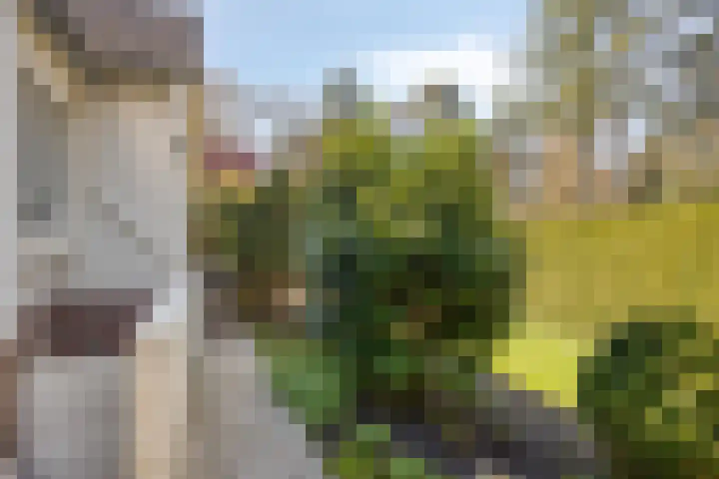 Bosweg 122 Apeldoorn thumbnail 40