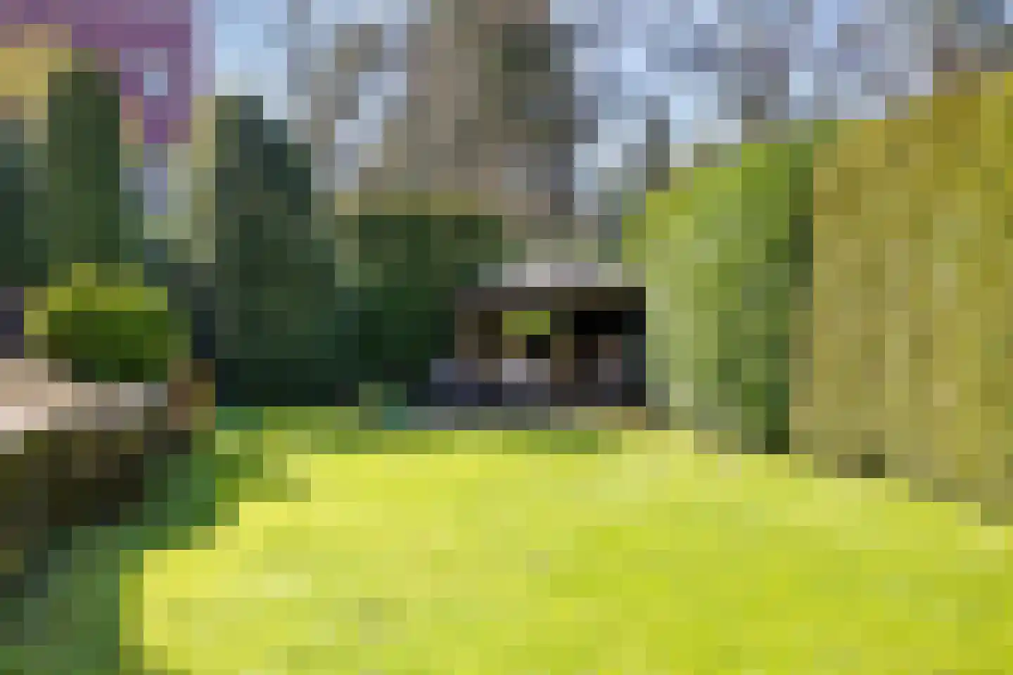 Bosweg 122 Apeldoorn thumbnail 45