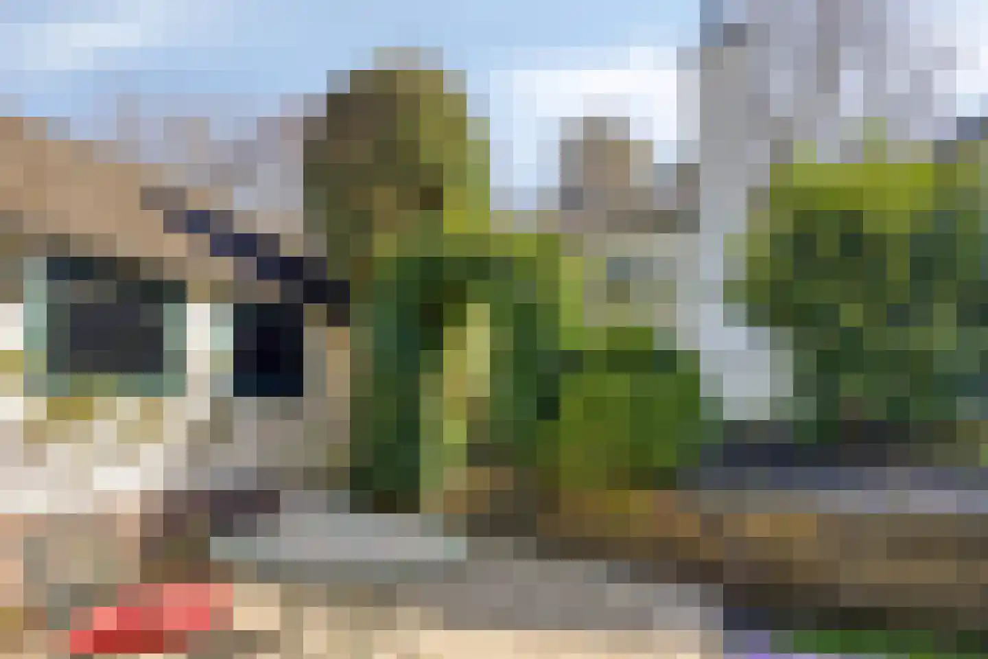 Bosweg 122 Apeldoorn thumbnail 47