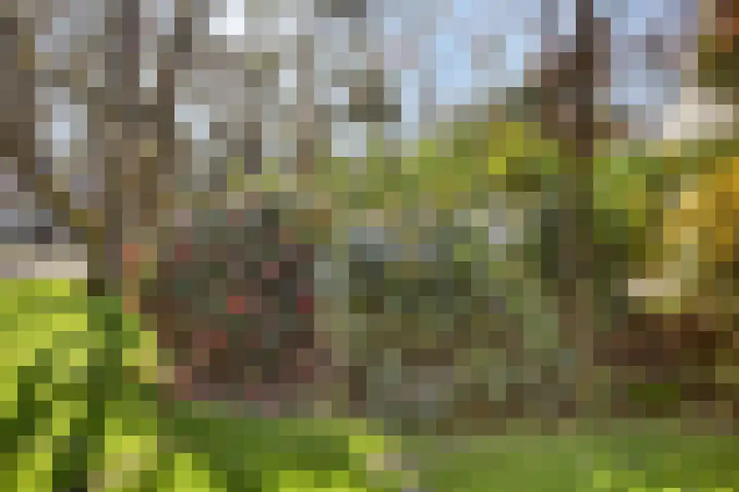 Bosweg 122 Apeldoorn thumbnail 49