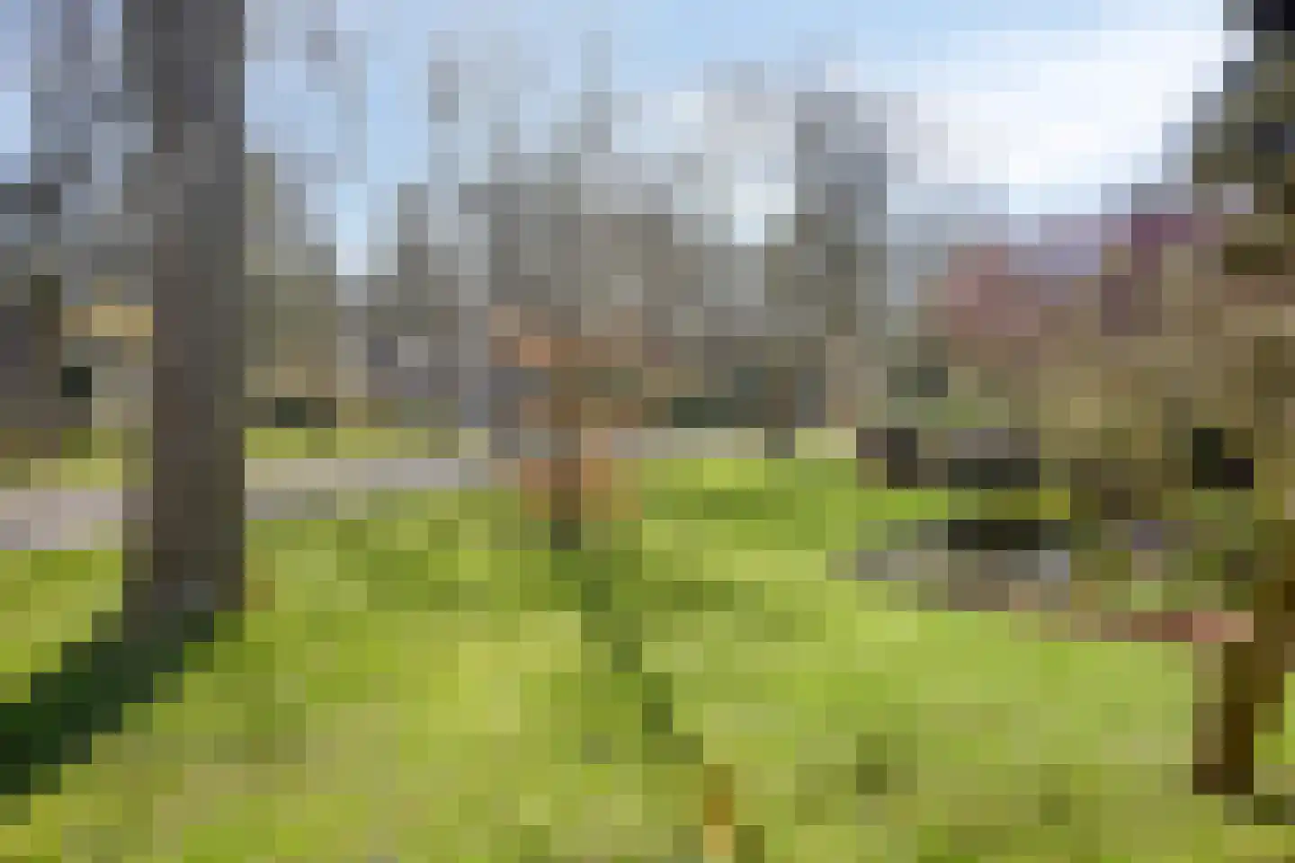 Bosweg 122 Apeldoorn thumbnail 50