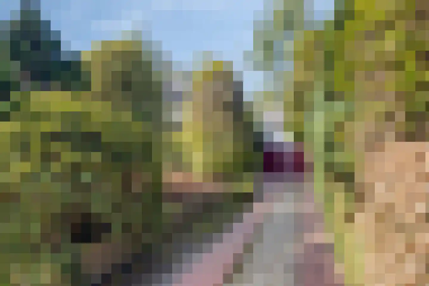 Bosweg 122 Apeldoorn thumbnail 6