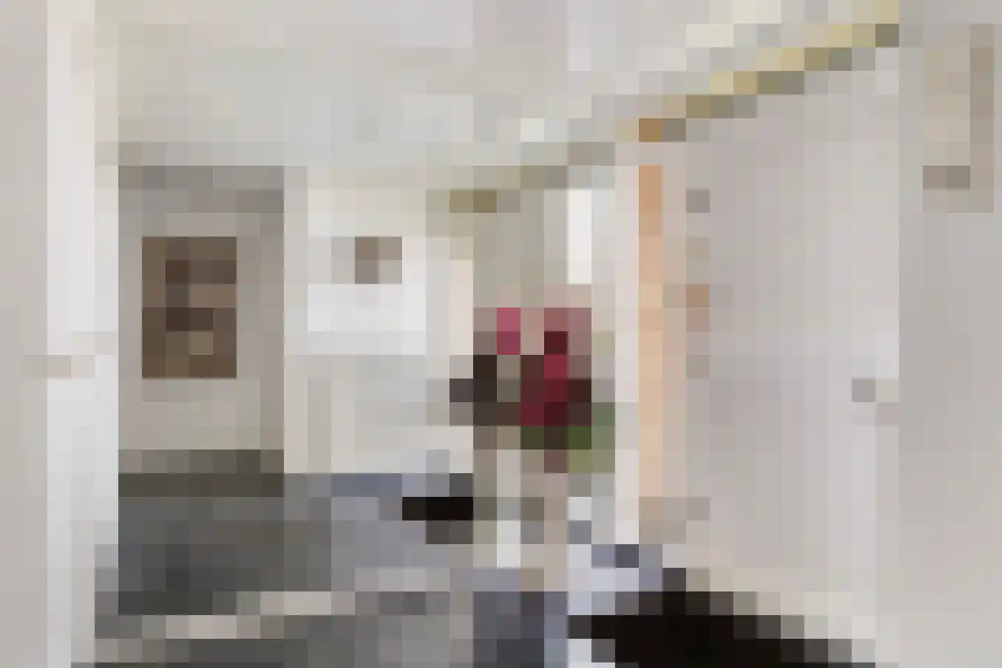Bosweg 129 Apeldoorn thumbnail 12