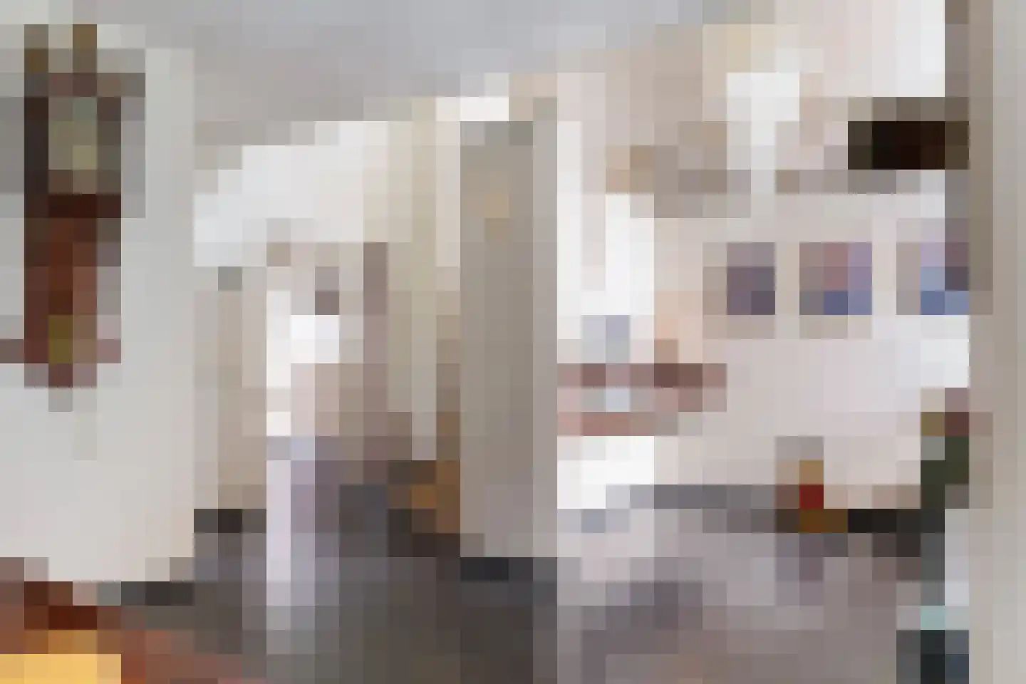 Bosweg 129 Apeldoorn thumbnail 14