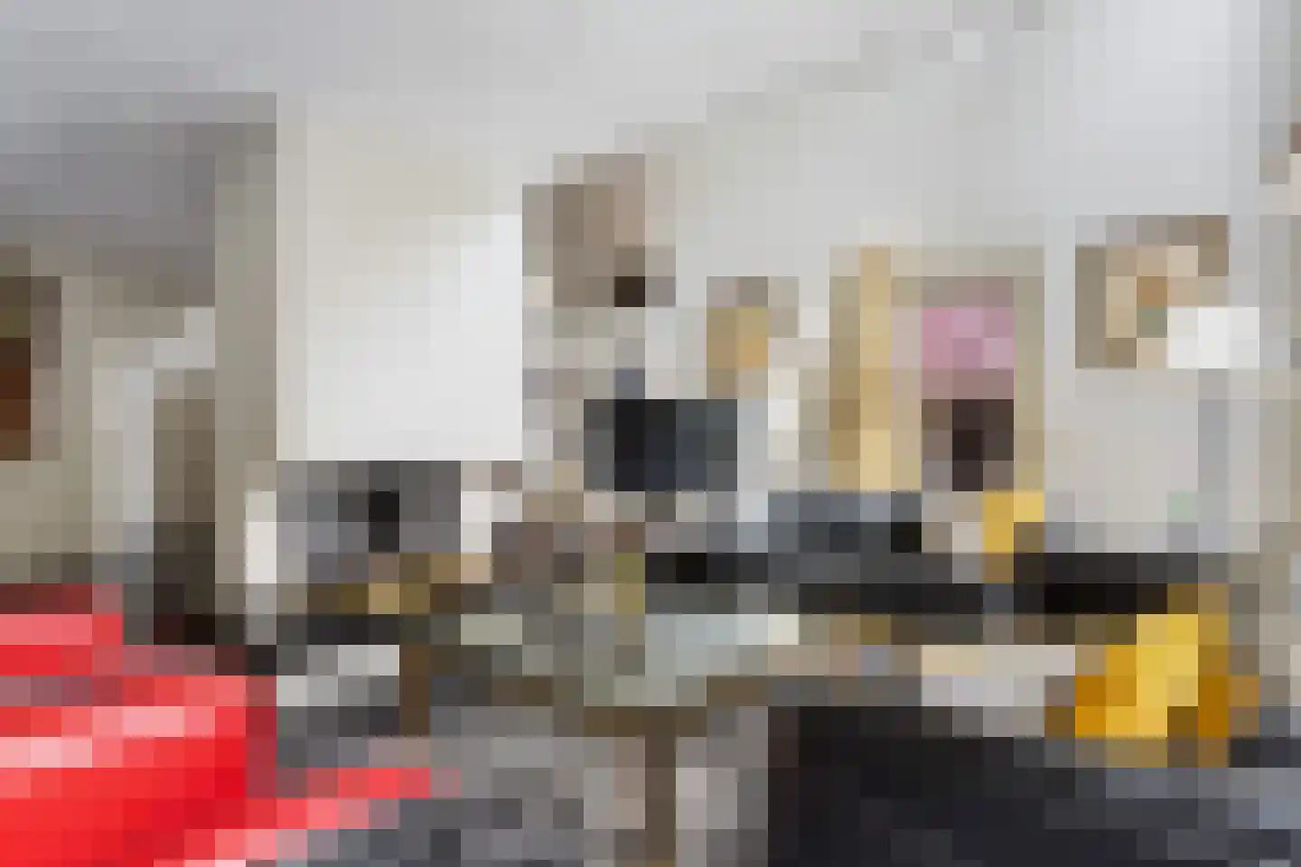 Bosweg 129 Apeldoorn thumbnail 18