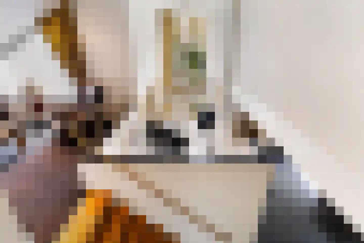 Bosweg 129 Apeldoorn thumbnail 30