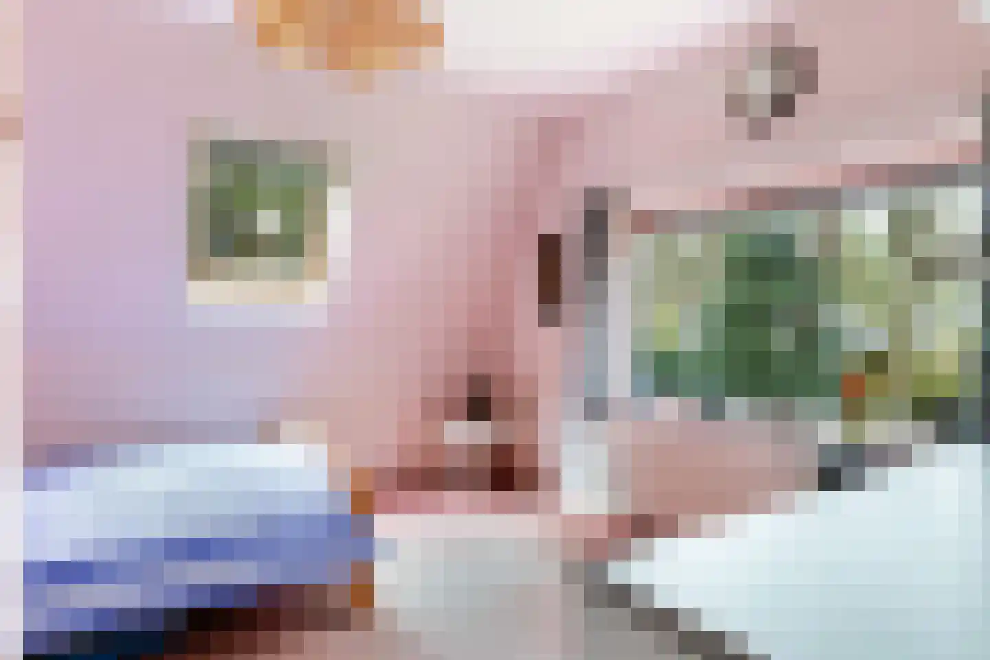 Bosweg 129 Apeldoorn thumbnail 38