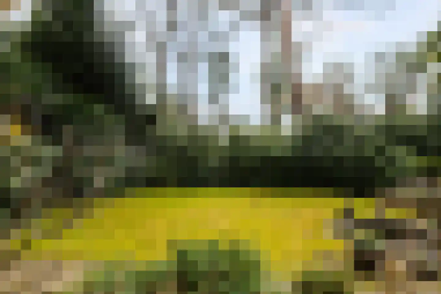Bosweg 129 Apeldoorn thumbnail 4