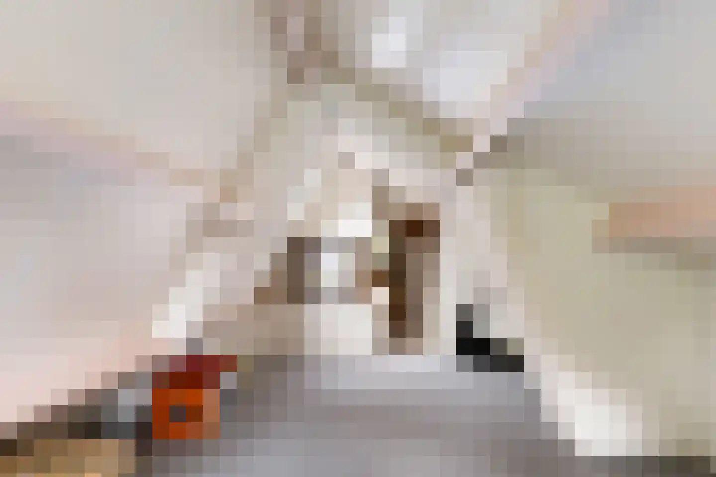 Bosweg 129 Apeldoorn thumbnail 43