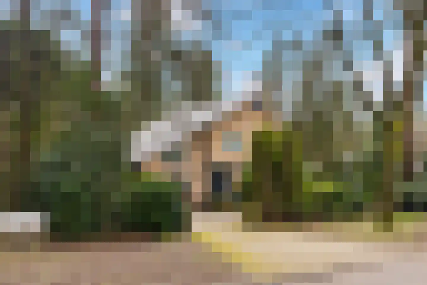 Bosweg 129 Apeldoorn thumbnail 45