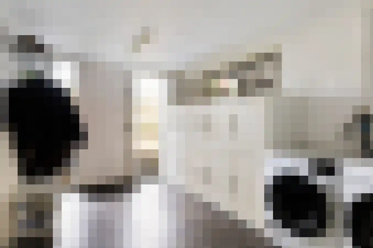 Bosweg 129 Apeldoorn thumbnail 47