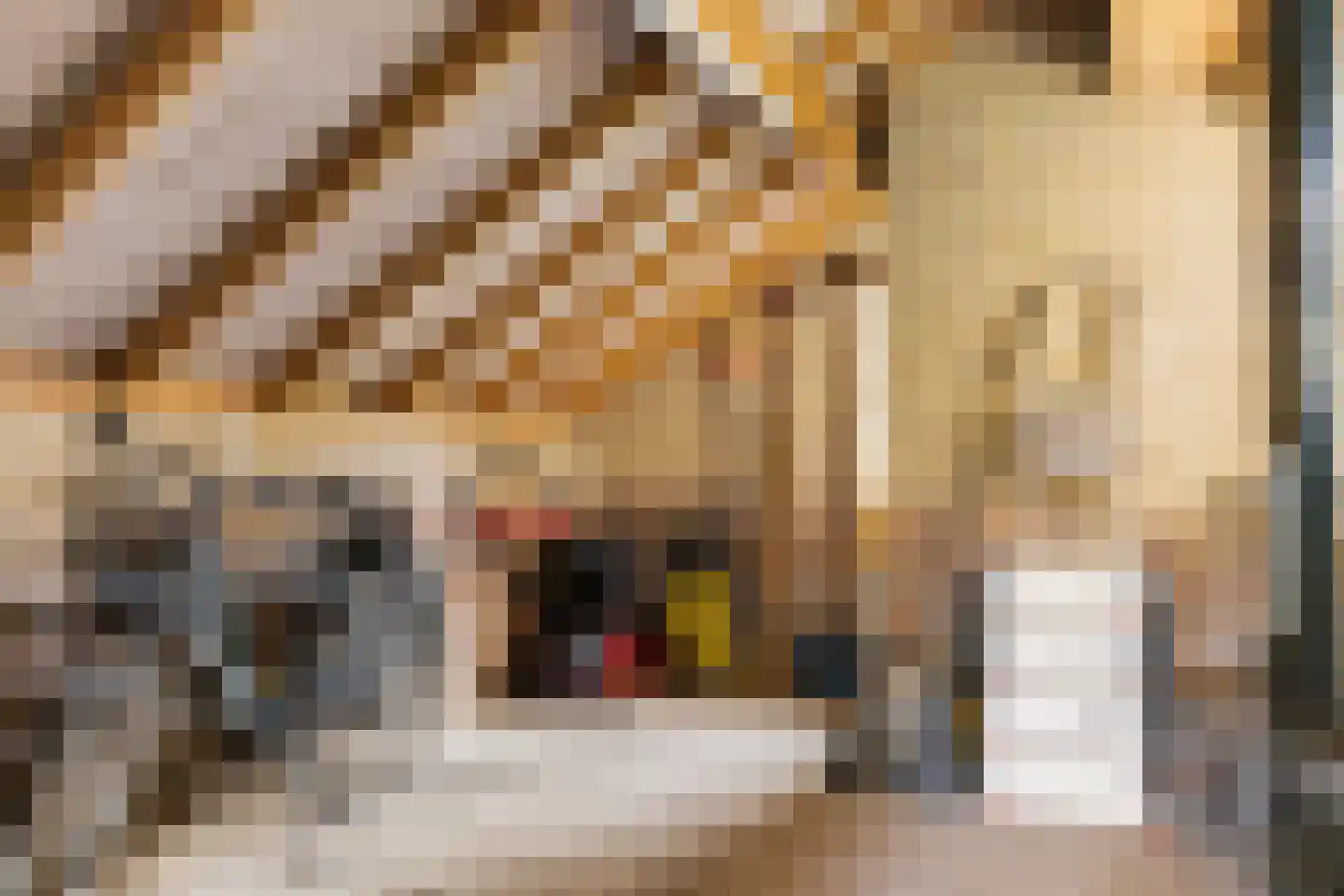 Bosweg 129 Apeldoorn thumbnail 48