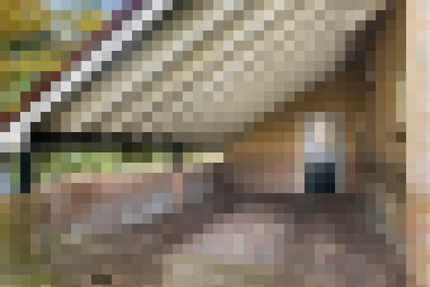 Bosweg 129 Apeldoorn thumbnail 49