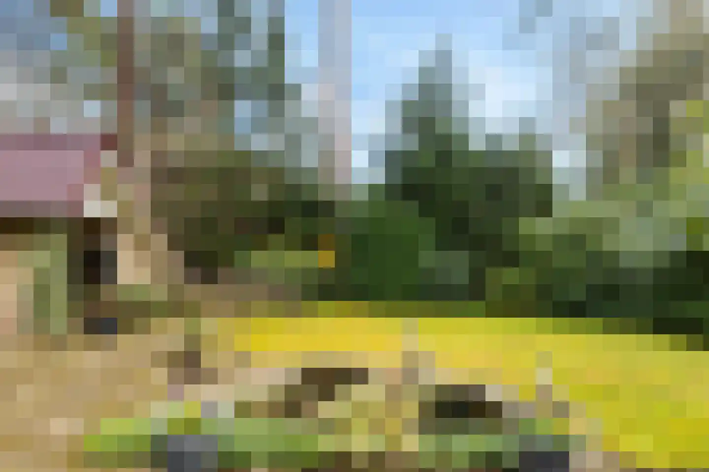 Bosweg 129 Apeldoorn thumbnail 5