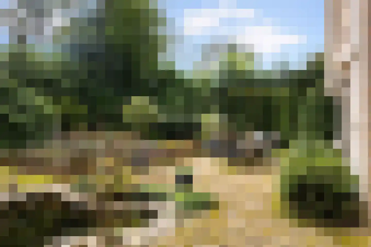 Bosweg 129 Apeldoorn thumbnail 51