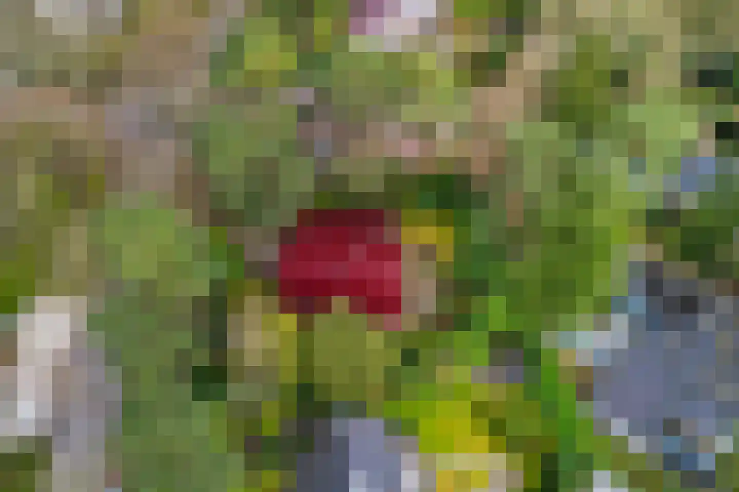 Bosweg 129 Apeldoorn thumbnail 57