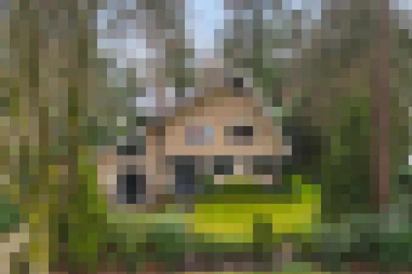 Bosweg 129 Apeldoorn thumbnail 58