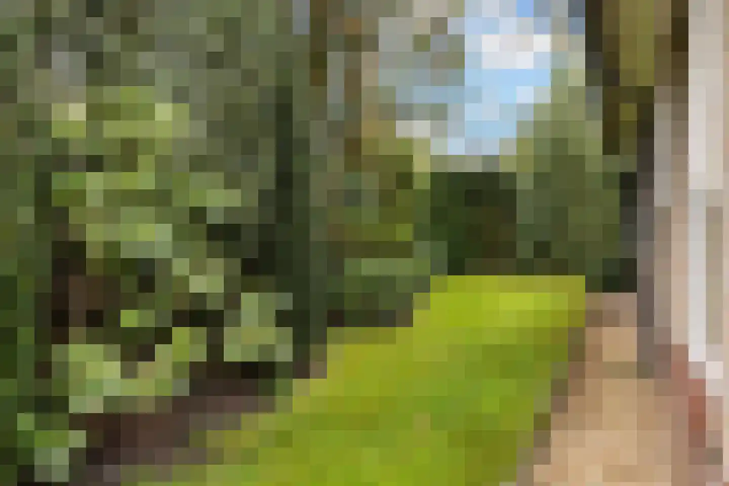 Bosweg 129 Apeldoorn thumbnail 7