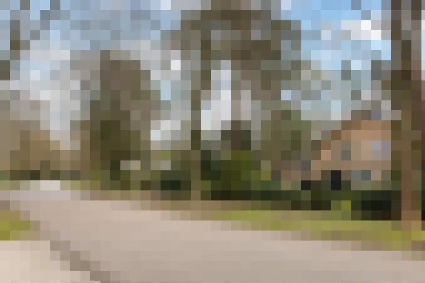 Bosweg 129 Apeldoorn thumbnail 8