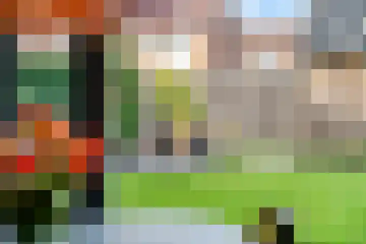 Bosweg 13 Amersfoort thumbnail 13