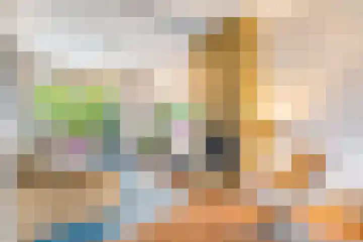 Bosweg 13 Amersfoort thumbnail 17