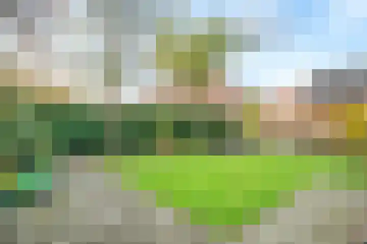 Bosweg 13 Amersfoort thumbnail 23