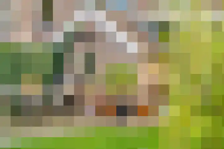 Bosweg 13 Amersfoort thumbnail 25