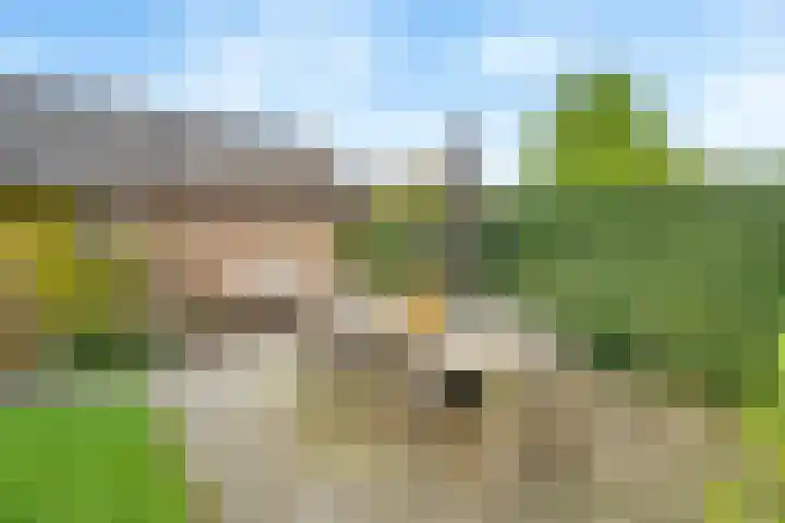 Bosweg 13 Amersfoort thumbnail 26