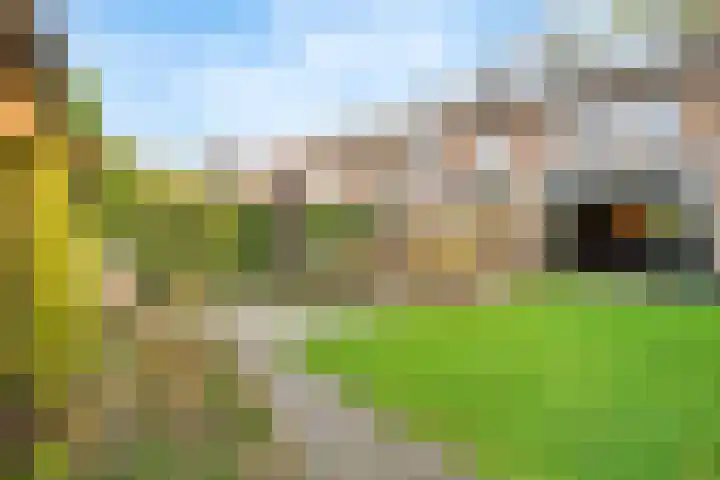 Bosweg 13 Amersfoort thumbnail 28