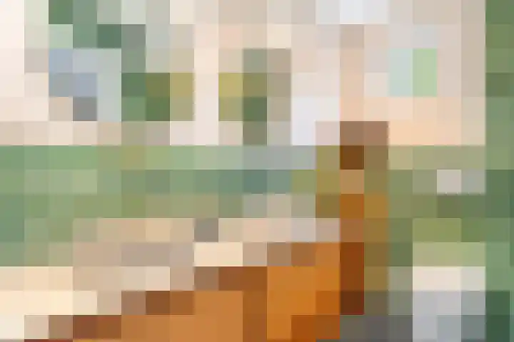 Bosweg 13 Amersfoort thumbnail 34
