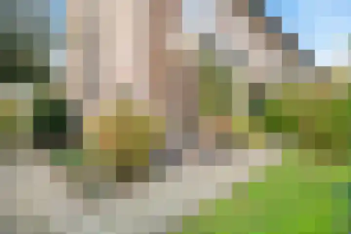 Bosweg 13 Amersfoort thumbnail 44
