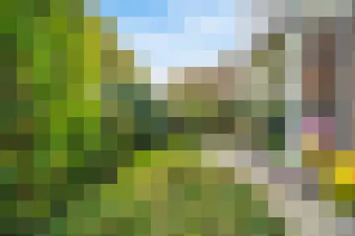Bosweg 13 Amersfoort thumbnail 45