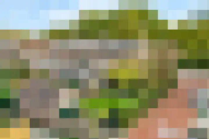 Bosweg 13 Amersfoort thumbnail 47