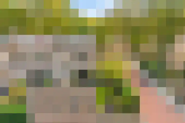 Bosweg 13 Amersfoort thumbnail 48