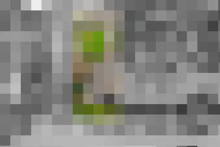 Bosweg 13 Amersfoort thumbnail 49