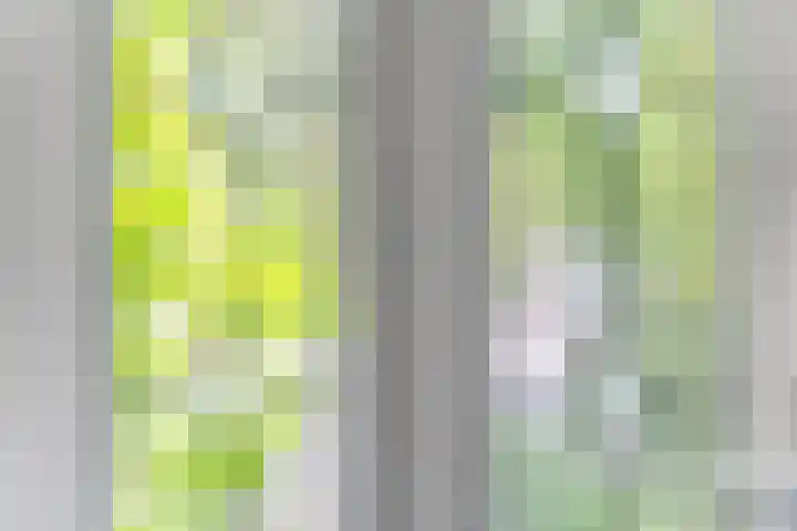 Bosweg 13 Amersfoort thumbnail 5