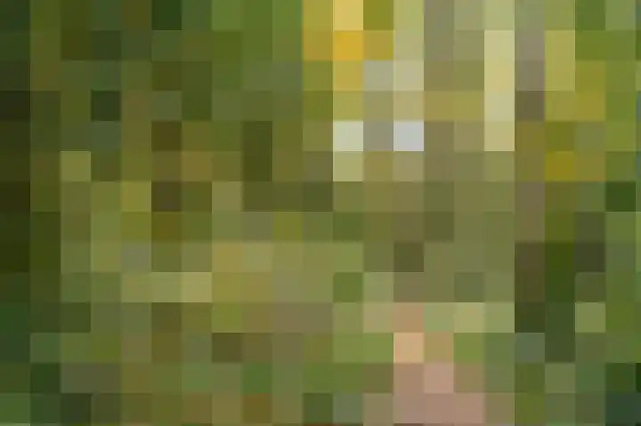 Bosweg 13 Amersfoort thumbnail 51