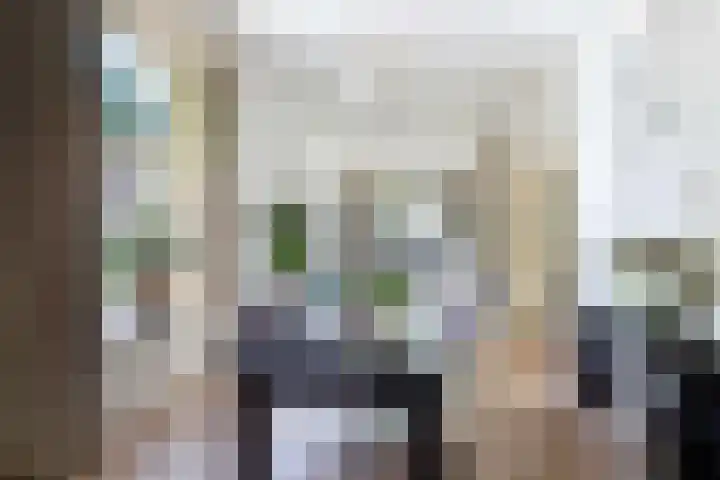 Bosweg 13 Apeldoorn thumbnail 11