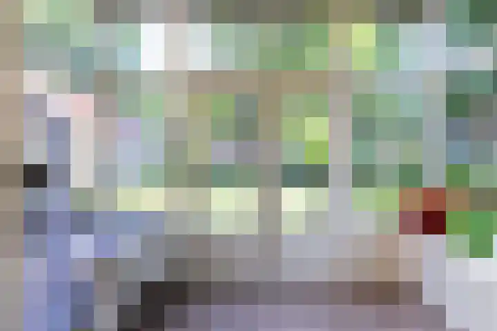 Bosweg 13 Apeldoorn thumbnail 12