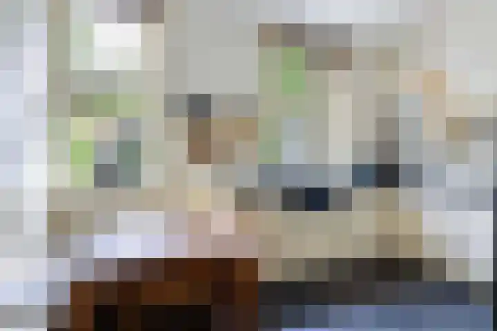 Bosweg 13 Apeldoorn thumbnail 13