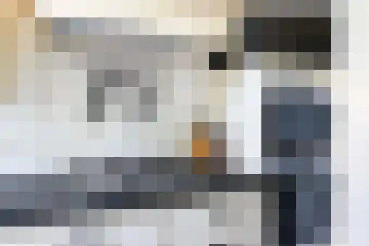 Bosweg 13 Apeldoorn thumbnail 15