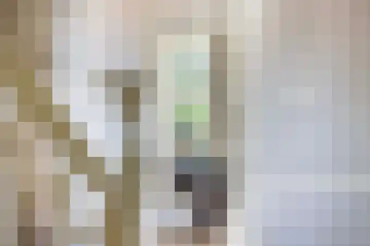 Bosweg 13 Apeldoorn thumbnail 19