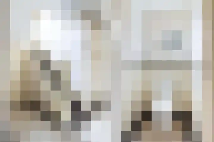 Bosweg 13 Apeldoorn thumbnail 20