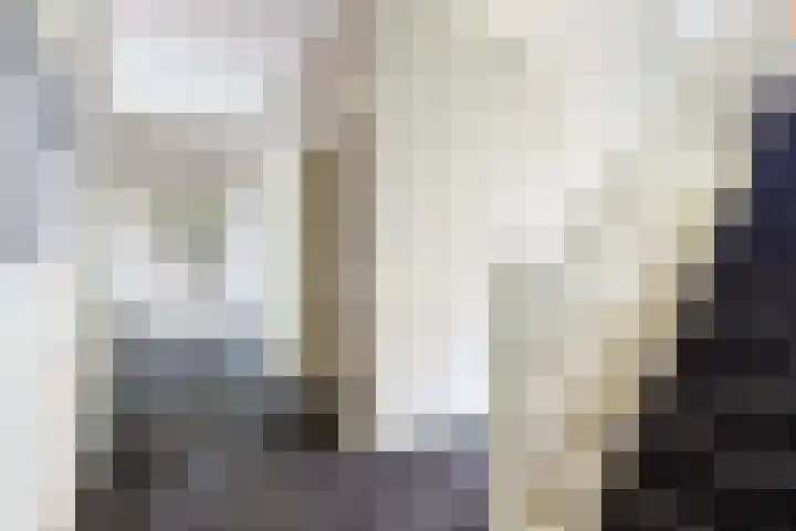 Bosweg 13 Apeldoorn thumbnail 21