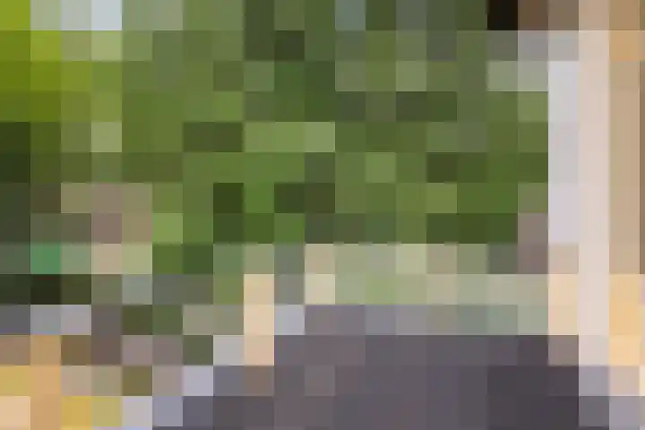 Bosweg 13 Apeldoorn thumbnail 23