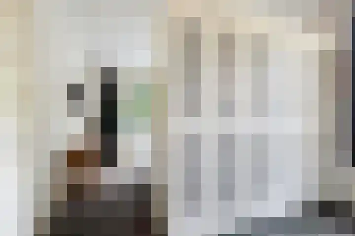 Bosweg 13 Apeldoorn thumbnail 26