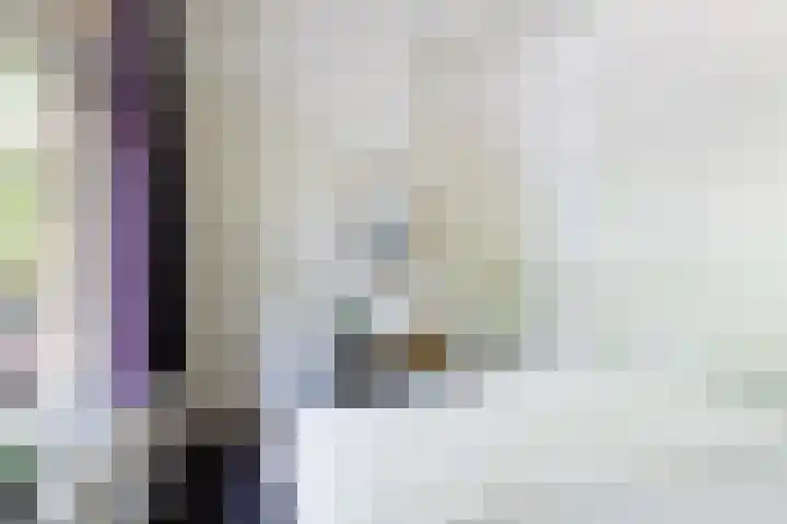 Bosweg 13 Apeldoorn thumbnail 28